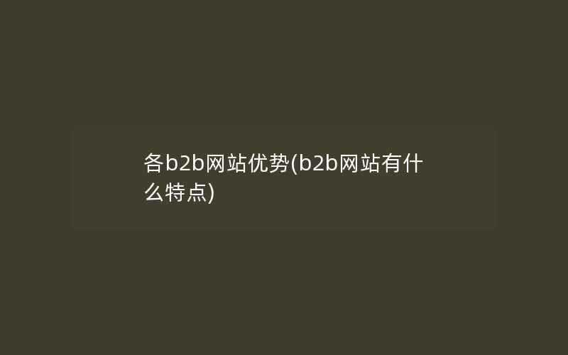 各b2b网站优势(b2b网站有什么特点)