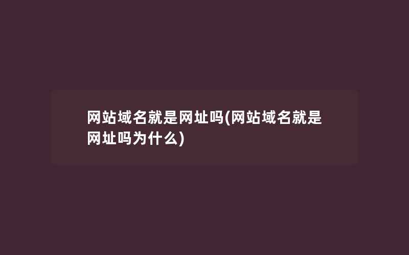 网站域名就是网址吗(网站域名就是网址吗为什么)