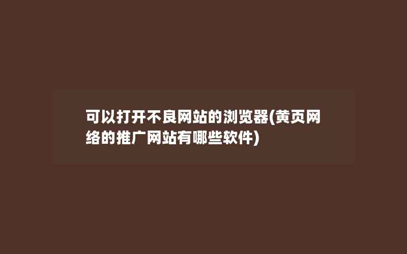 可以打开不良网站的浏览器(黄页网络的推广网站有哪些软件)