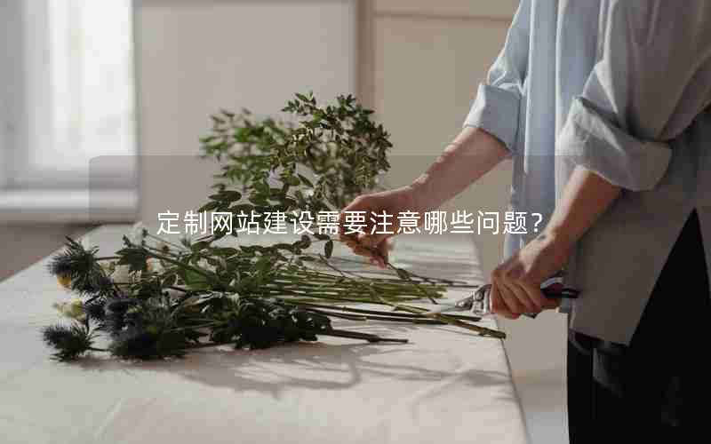 定制网站建设需要注意哪些问题？