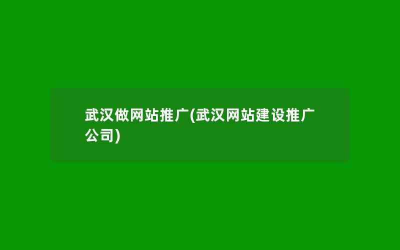 武汉做网站推广(武汉网站建设推广公司)