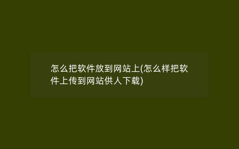 怎么把软件放到网站上(怎么样把软件上传到网站供人下载)