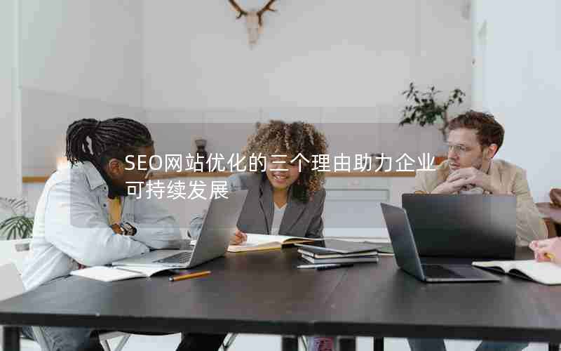 SEO网站优化的三个理由助力企业可持续发展