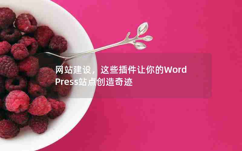 网站建设，这些插件让你的WordPress站点创造奇迹