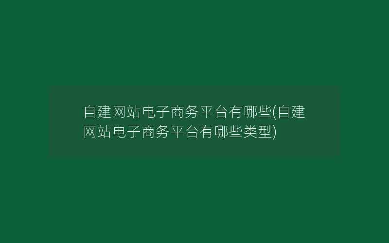 自建网站电子商务平台有哪些(自建网站电子商务平台有哪些类型)