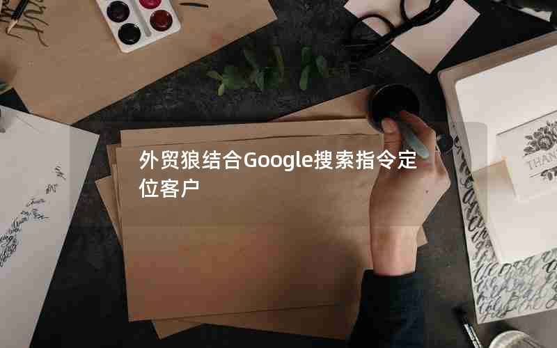 外贸狼结合Google搜索指令定位客户