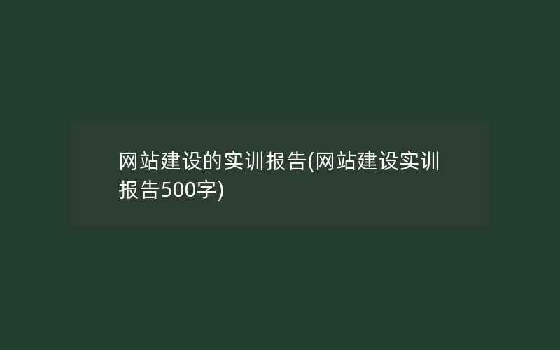 网站建设的实训报告(网站建设实训报告500字)