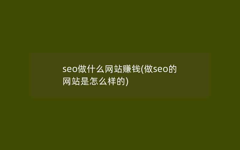 seo做什么网站赚钱(做seo的网站是怎么样的)