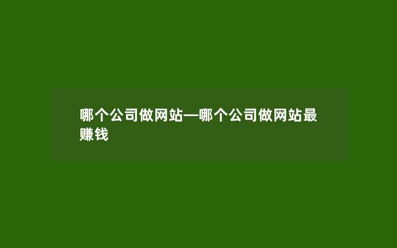 哪个公司做网站—哪个公司做网站最赚钱