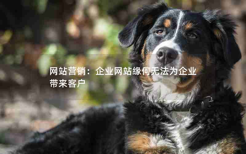 网站营销：企业网站缘何无法为企业带来客户