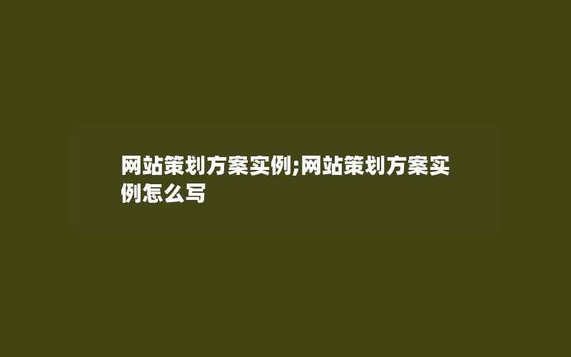 网站策划方案实例;网站策划方案实例怎么写