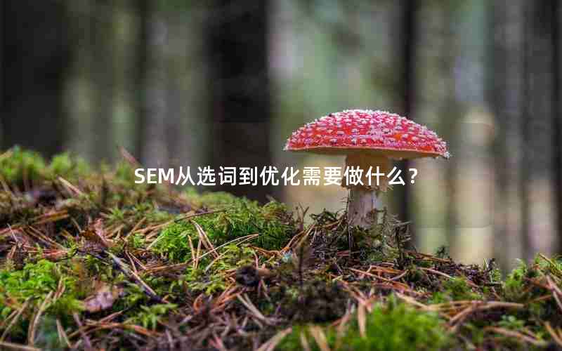 SEM从选词到优化需要做什么？