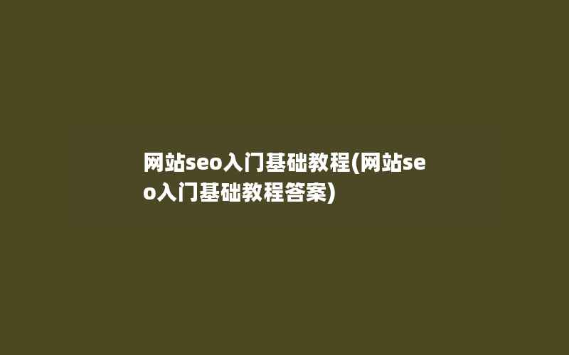 网站seo入门基础教程(网站seo入门基础教程答案)