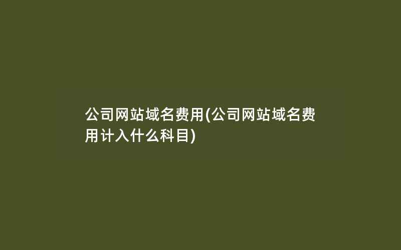 公司网站域名费用(公司网站域名费用计入什么科目)