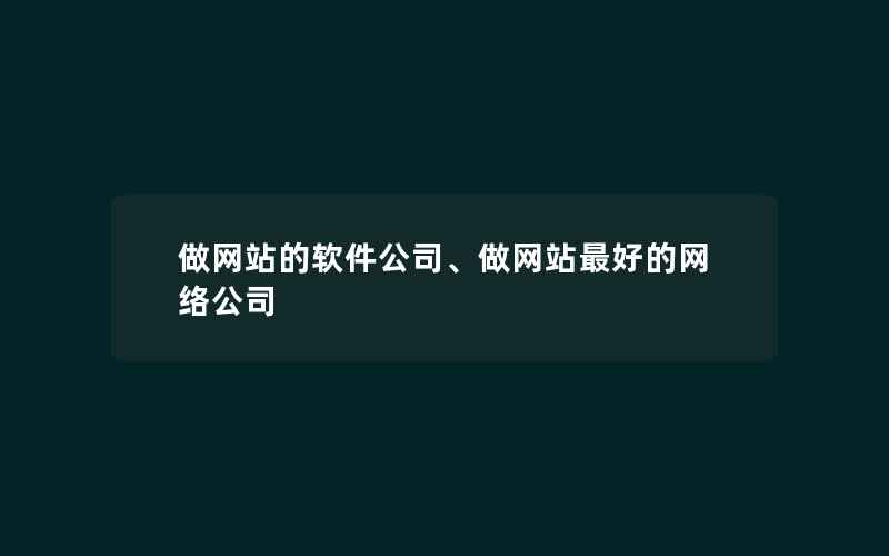 做网站的软件公司、做网站最好的网络公司