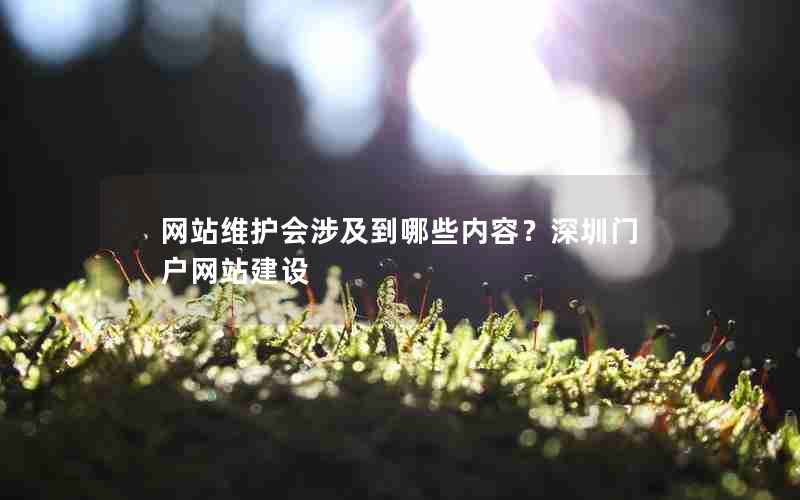 网站维护会涉及到哪些内容？深圳门户网站建设