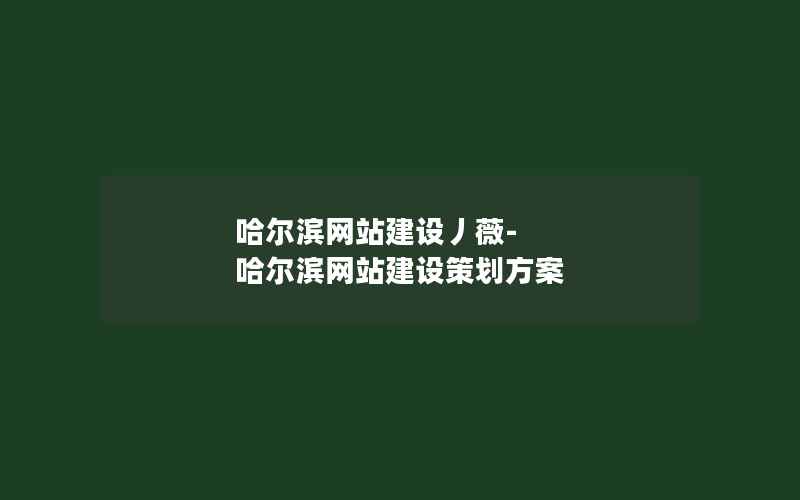 哈尔滨网站建设丿薇-哈尔滨网站建设策划方案