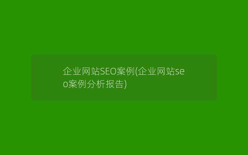 企业网站SEO案例(企业网站seo案例分析报告)