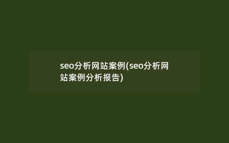 seo分析网站案例(seo分析网站案例分析报告)