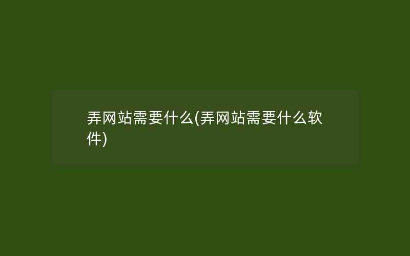 弄网站需要什么(弄网站需要什么软件)