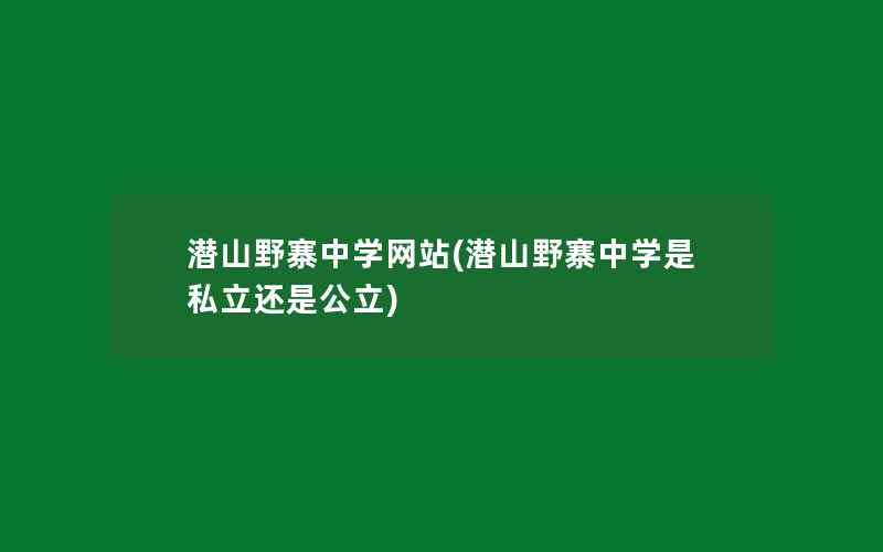 潜山野寨中学网站(潜山野寨中学是私立还是公立)