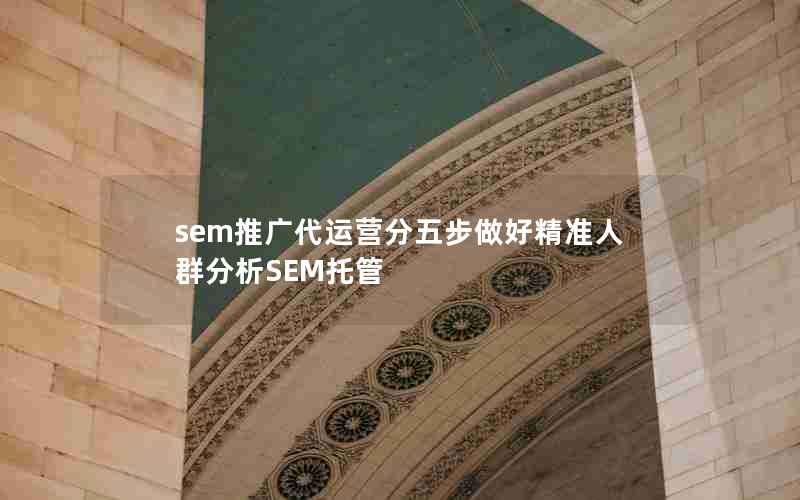 sem推广代运营分五步做好精准人群分析SEM托管