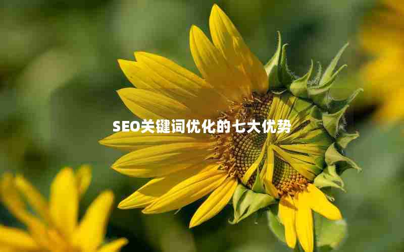 SEO关键词优化的七大优势