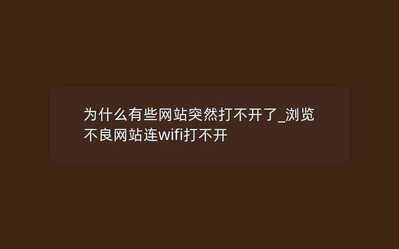 为什么有些网站突然打不开了_浏览不良网站连wifi打不开