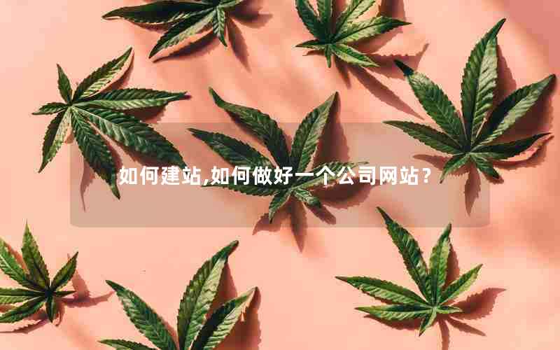 如何建站,如何做好一个公司网站？