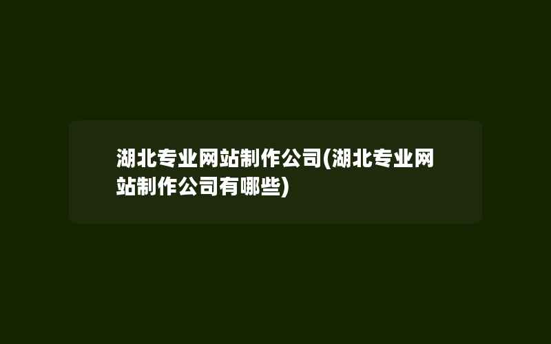 湖北专业网站制作公司(湖北专业网站制作公司有哪些)