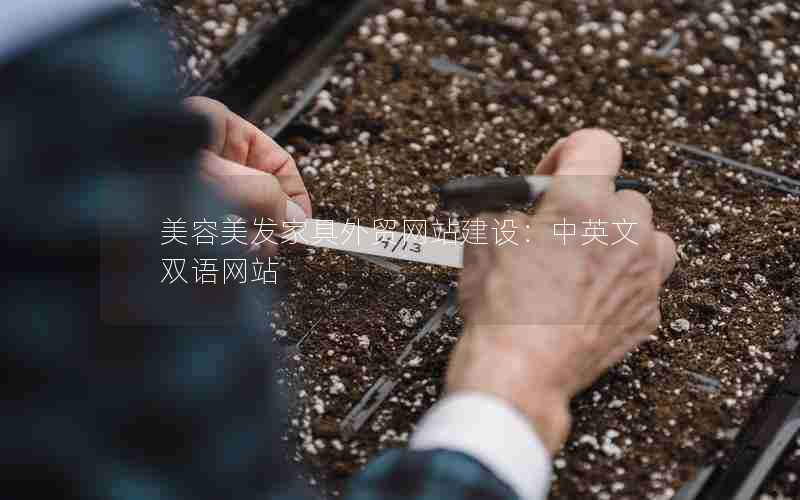 美容美发家具外贸网站建设：中英文双语网站