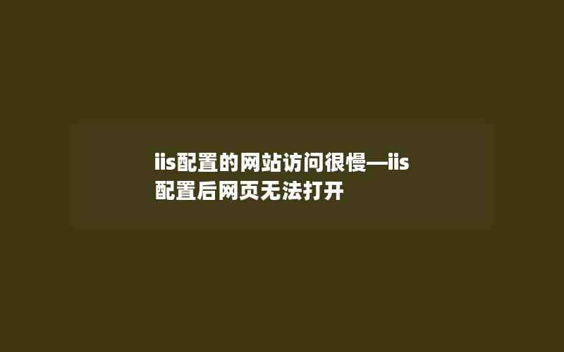 iis配置的网站访问很慢—iis配置后网页无法打开