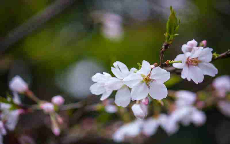 南京建站方法如何造就特色企业站点