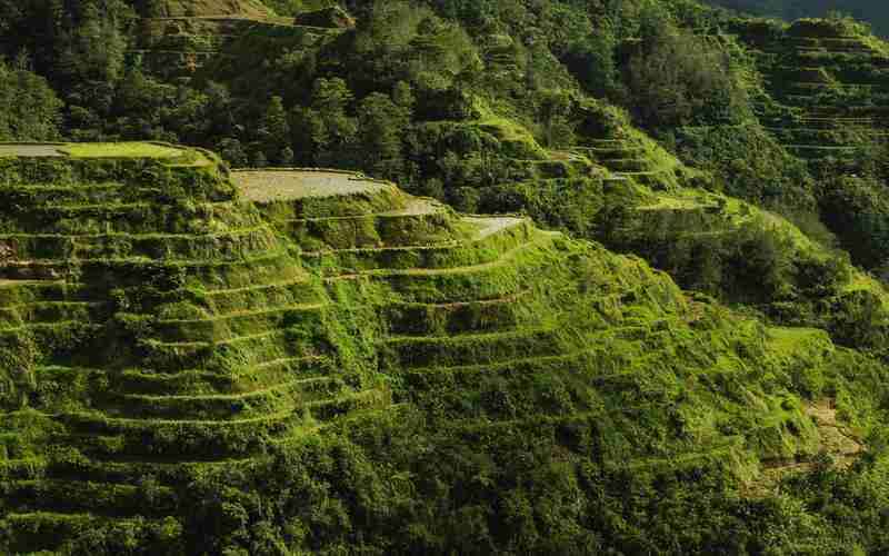 房地产手机端网站建设-房地产系统